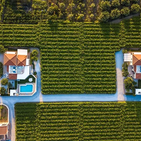 Cretan Vineyard Hill Villa 2 Ano Kalesia Exterior foto