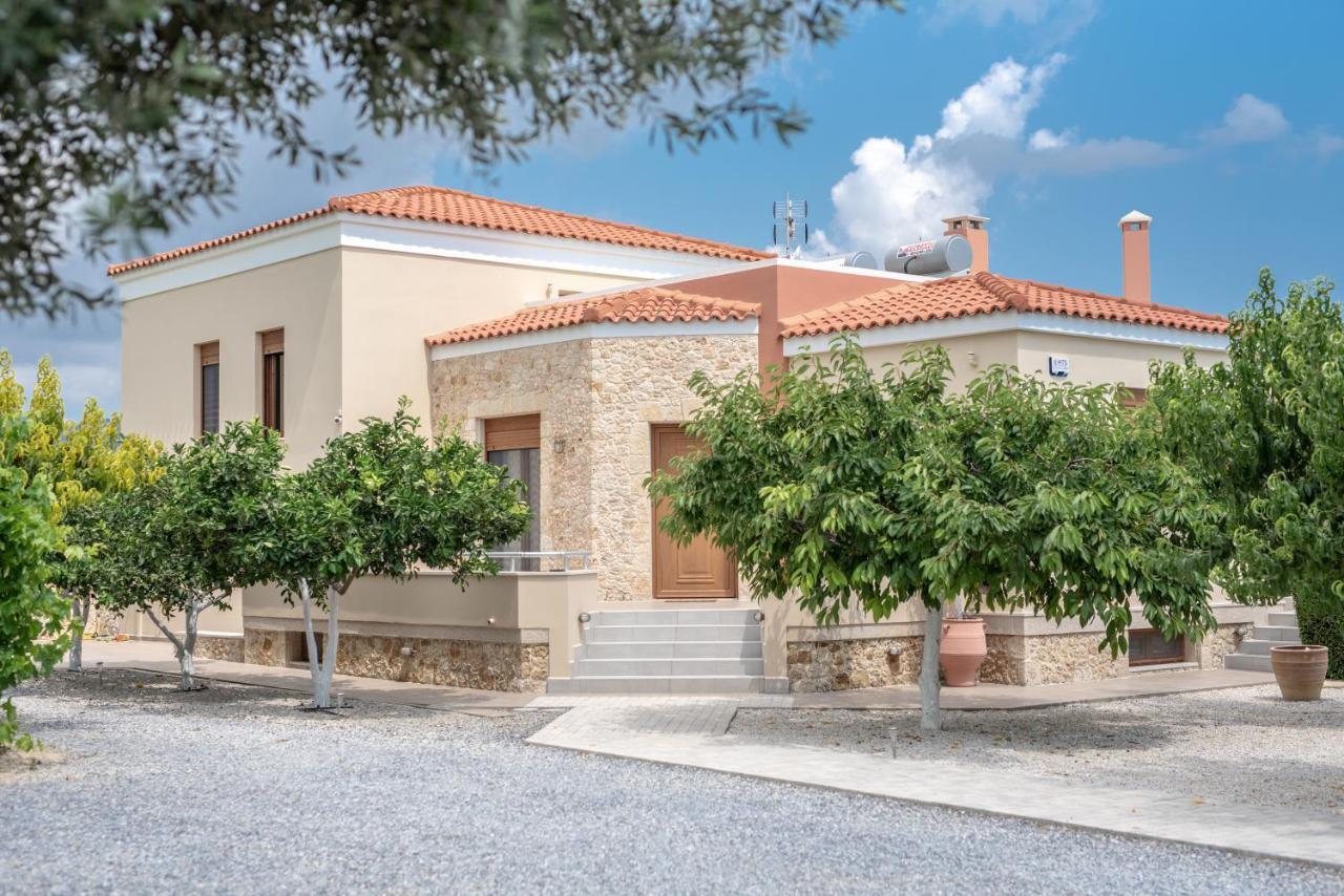 Cretan Vineyard Hill 2 Ano Kalesia