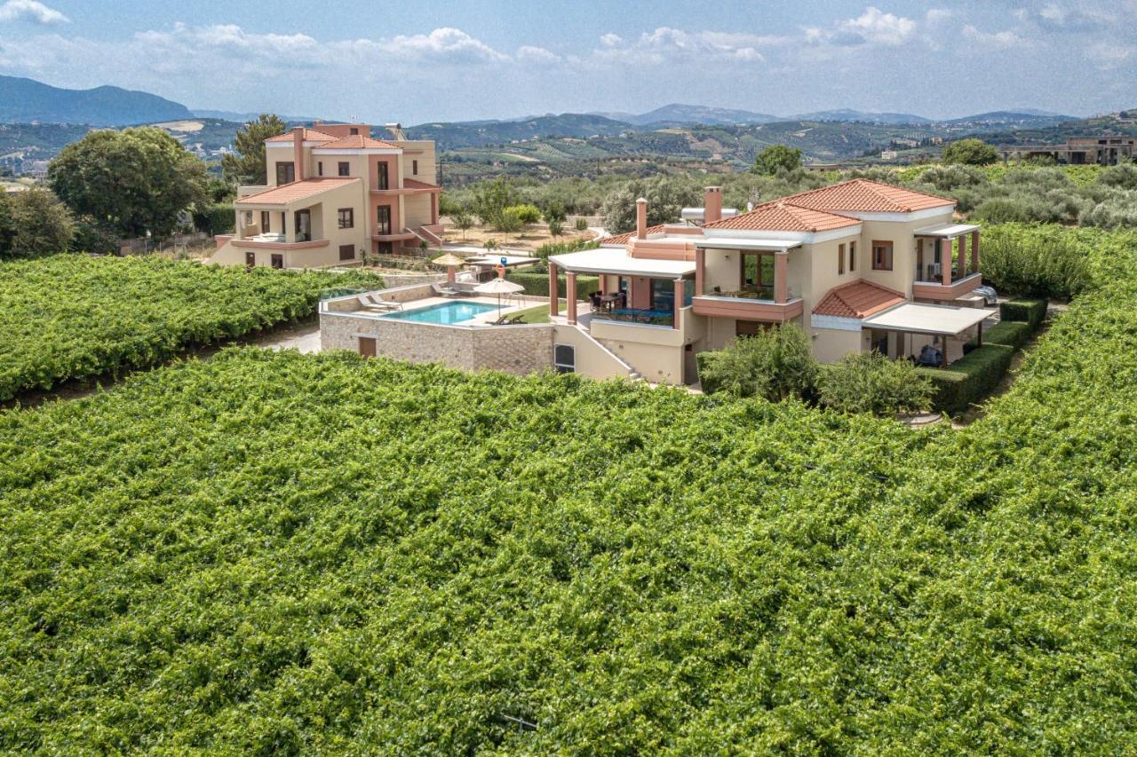 Cretan Vineyard Hill 2 *