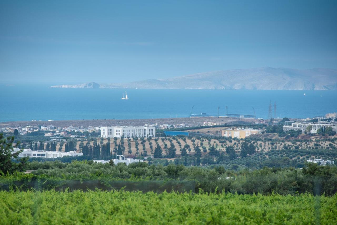 Cretan Vineyard Hill 2 *